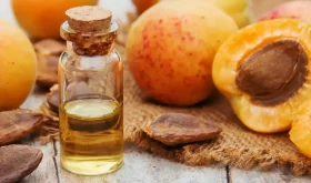 فواید روغن هسته زردآلو چیست ؟ + [نکات کاربردی]